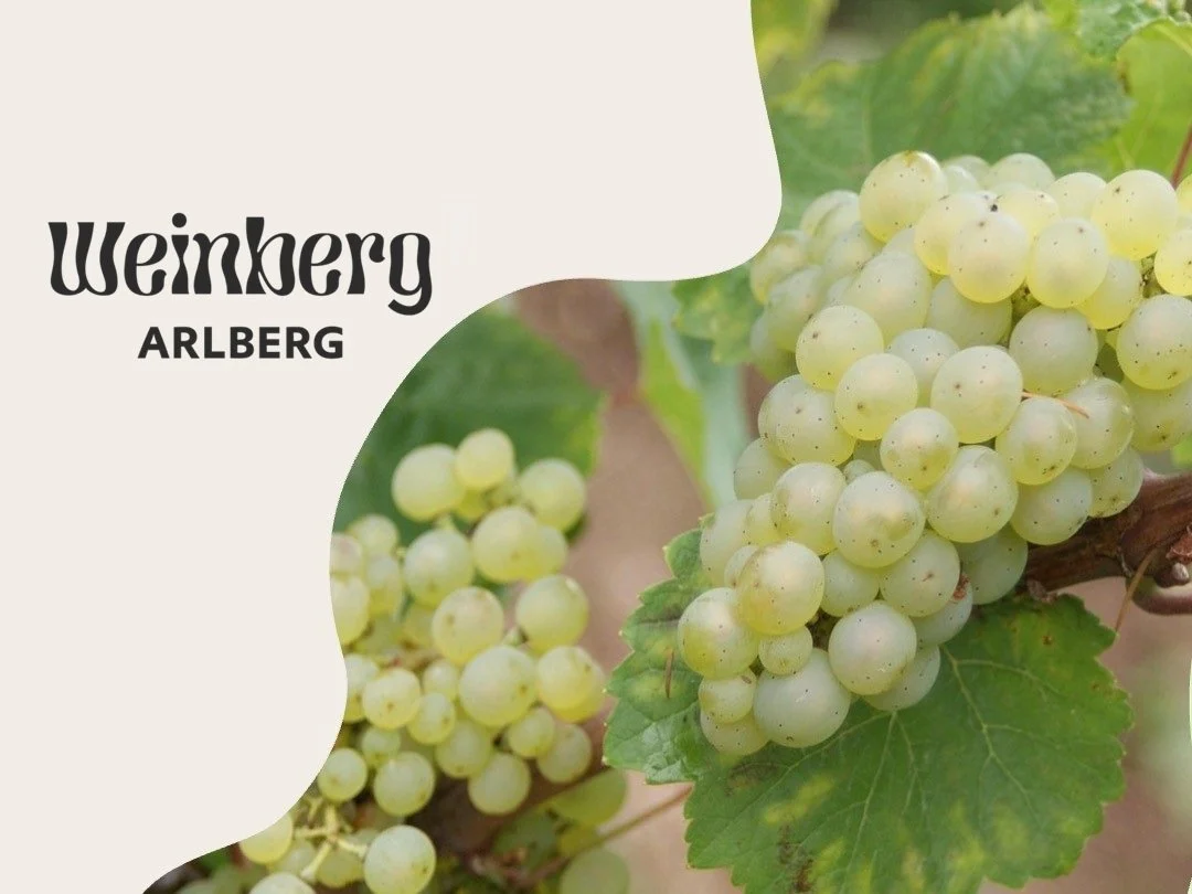 Weinberg Arlberg