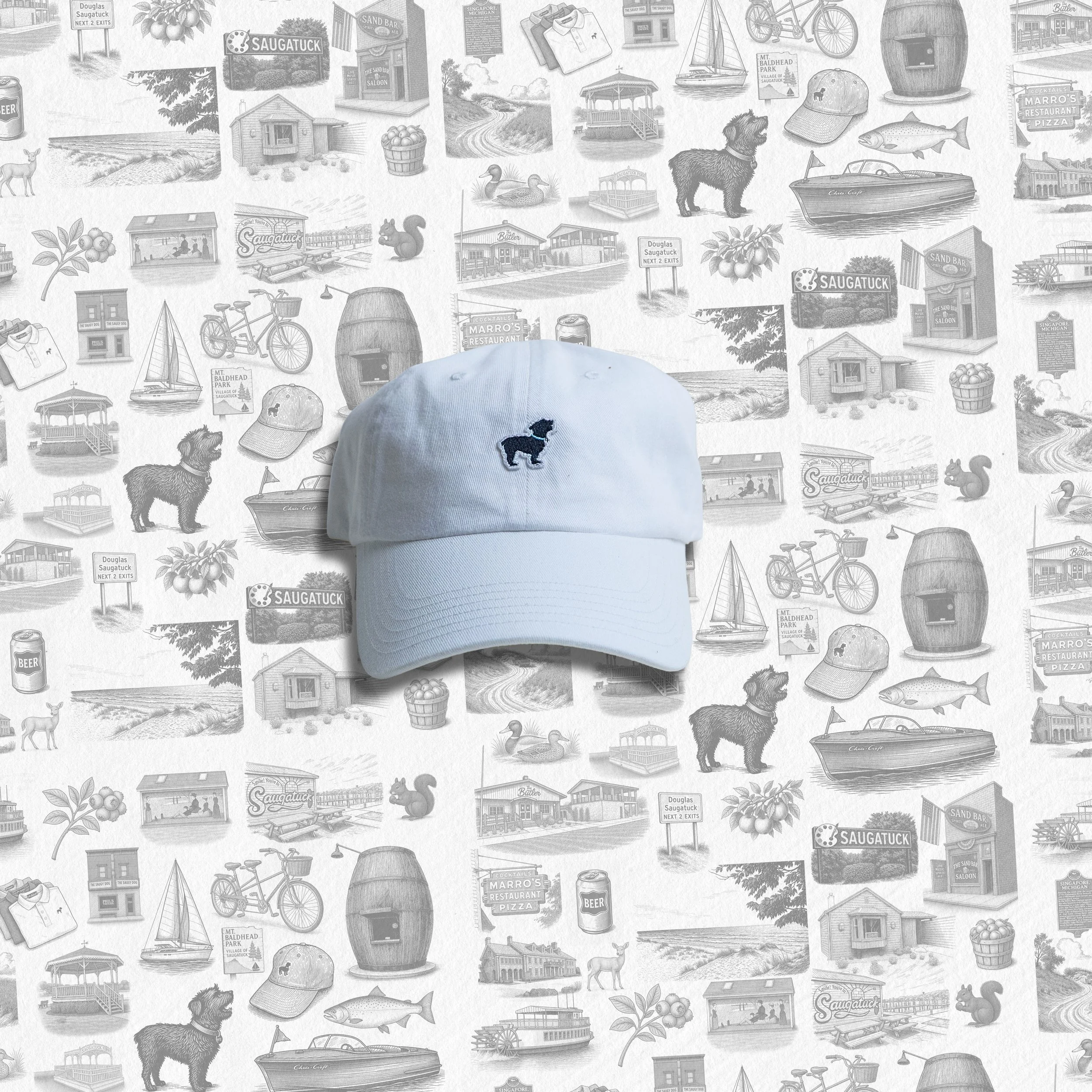 Brushed twill chino cap in white, front view