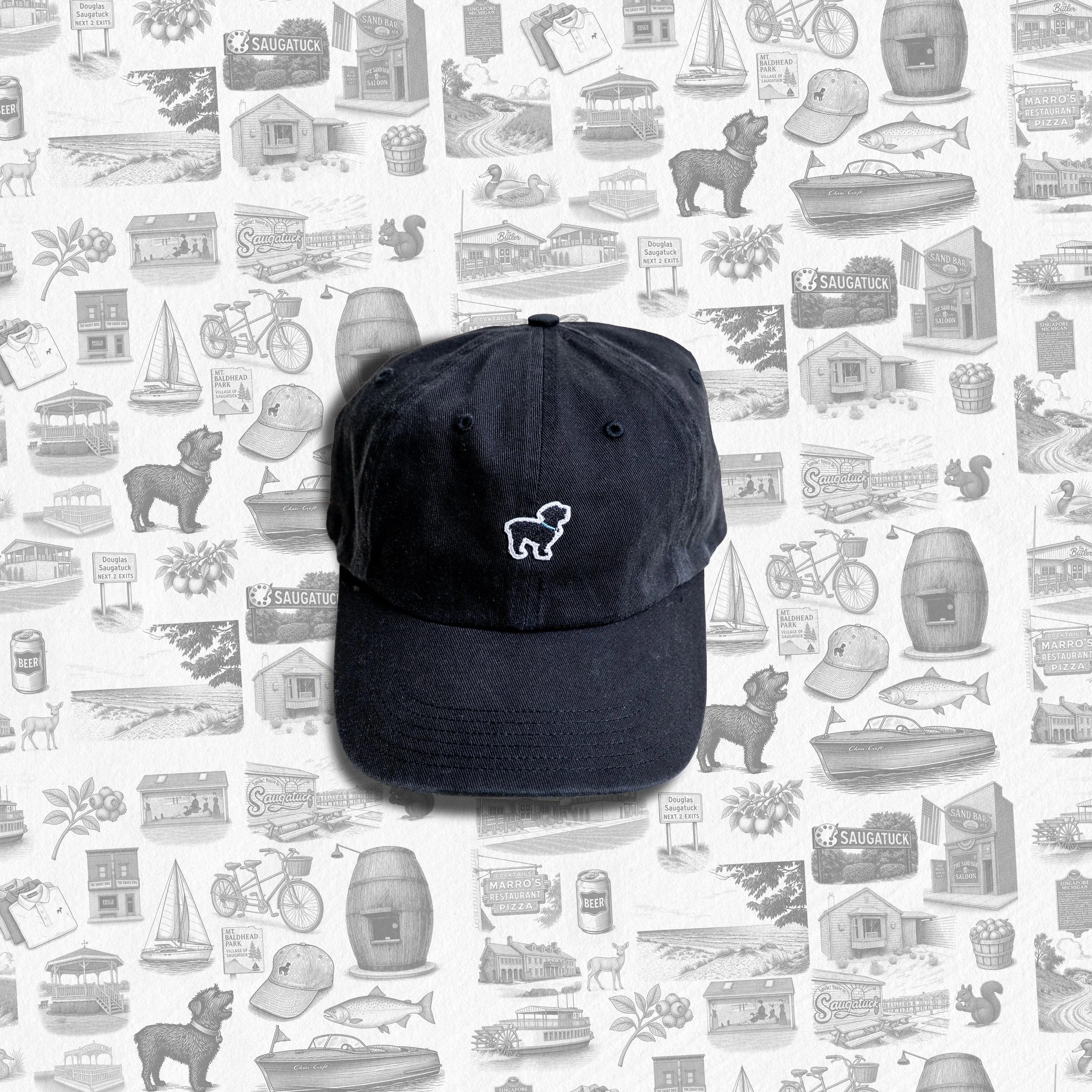 Brushed twill chino cap in black, front view