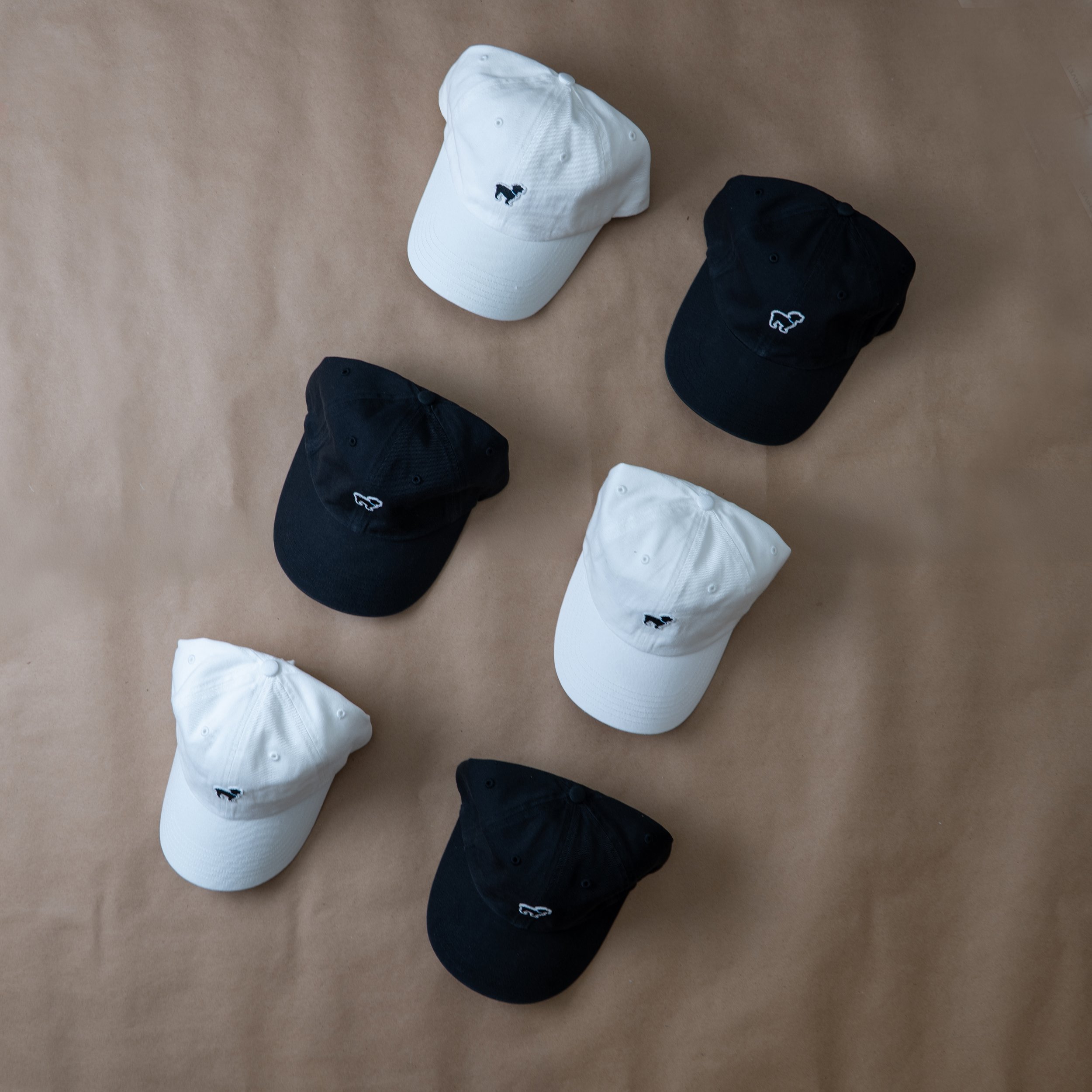 black and white group.jpg