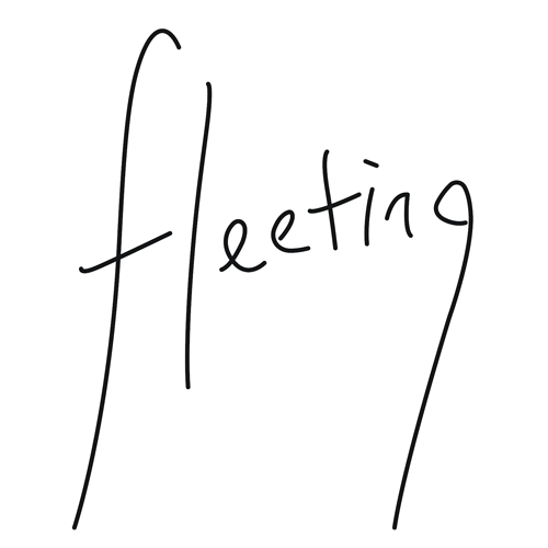 fleeting.png