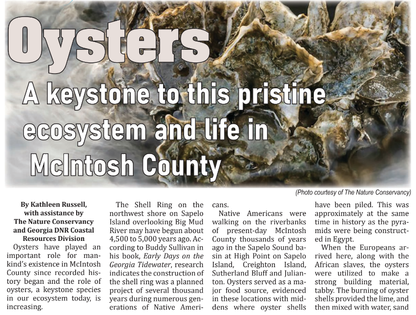 Oysters: A keystone to this pristine ecosystem and life in McIntosh County