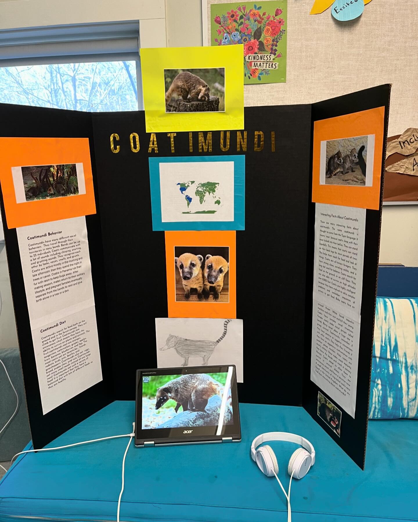 Scenes from our Elementary Two Maya Museum: What a gift to be able to learn from our oldest students. All of their hard work, research and tenacity paid off as caregivers, students and teachers from across the School benefited from this incredible pr