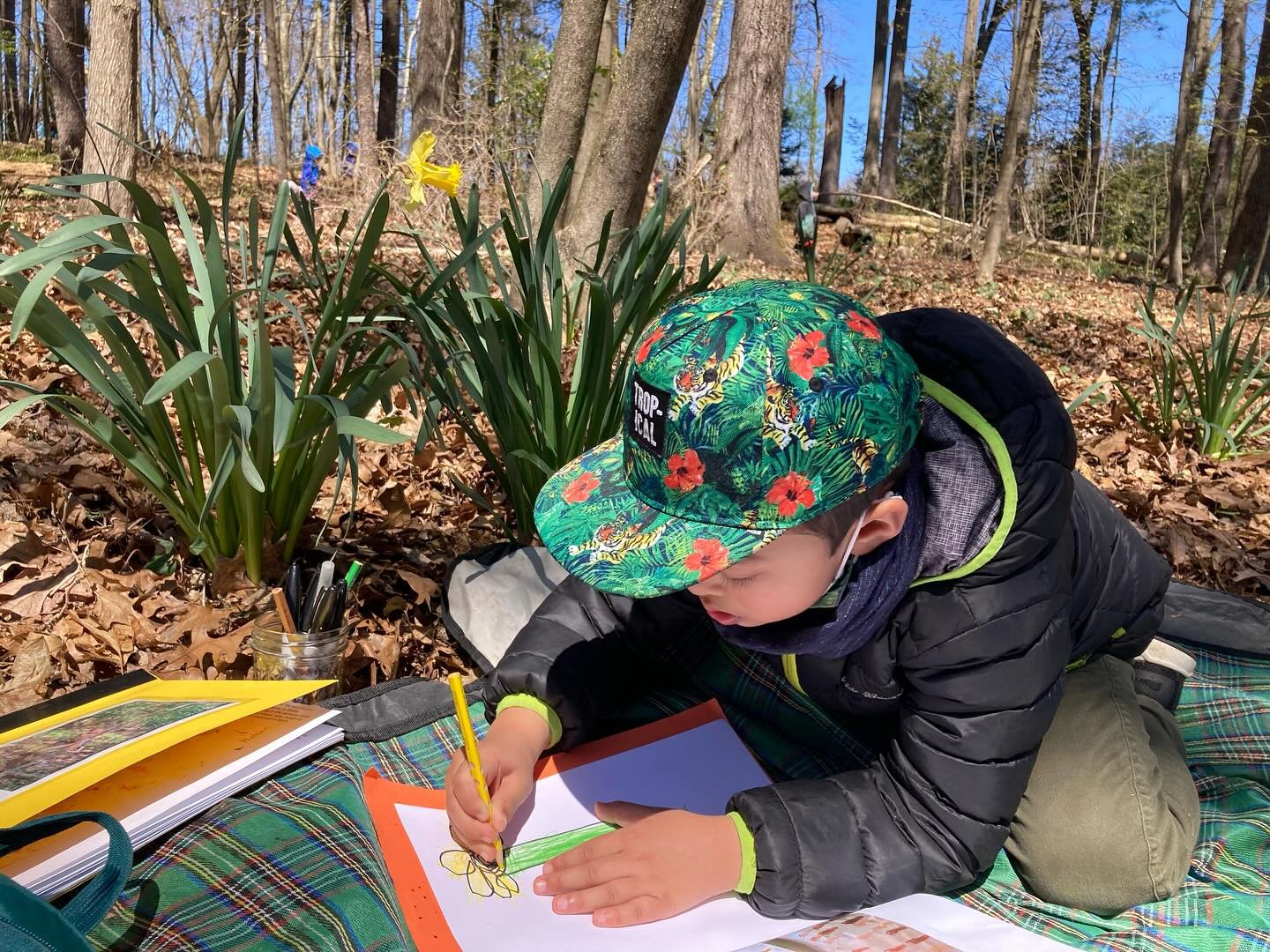 Nursery students document spring by drawing daffodils in their Nature Journals. #preschool #commonschool #amherstma