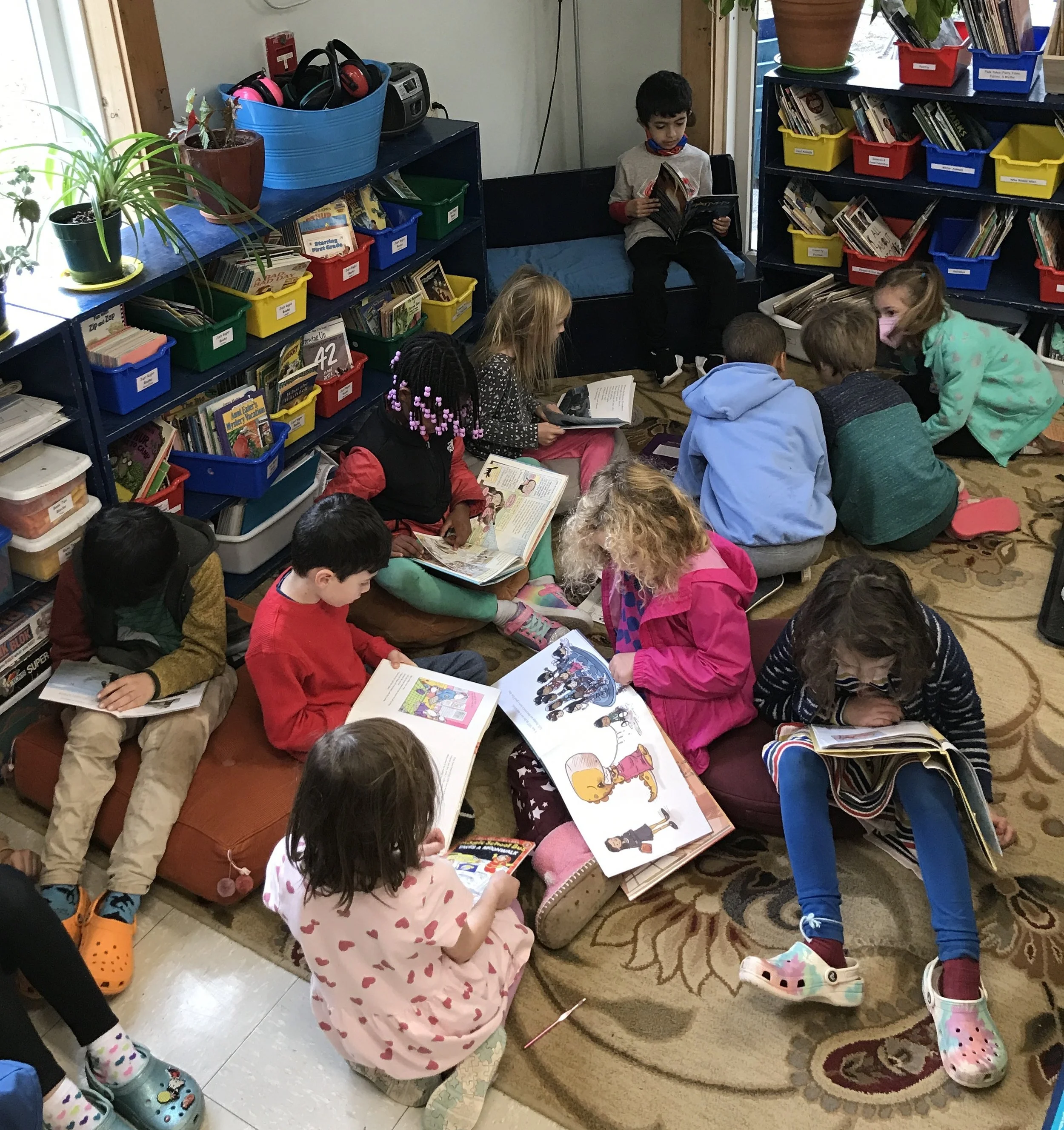 Copy of P2_Classroom_Library.JPG