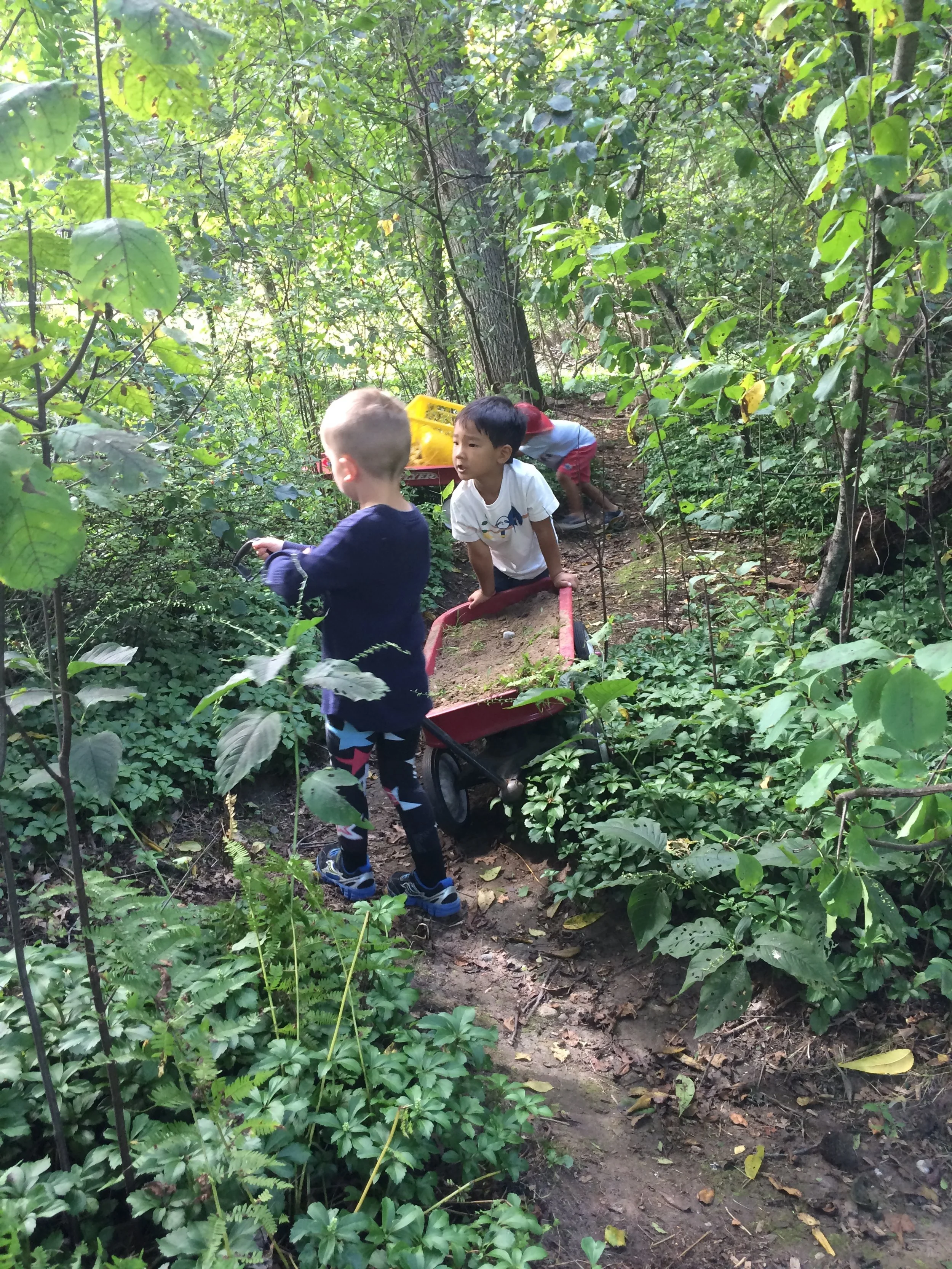 Copy of IMG-4020.JPG