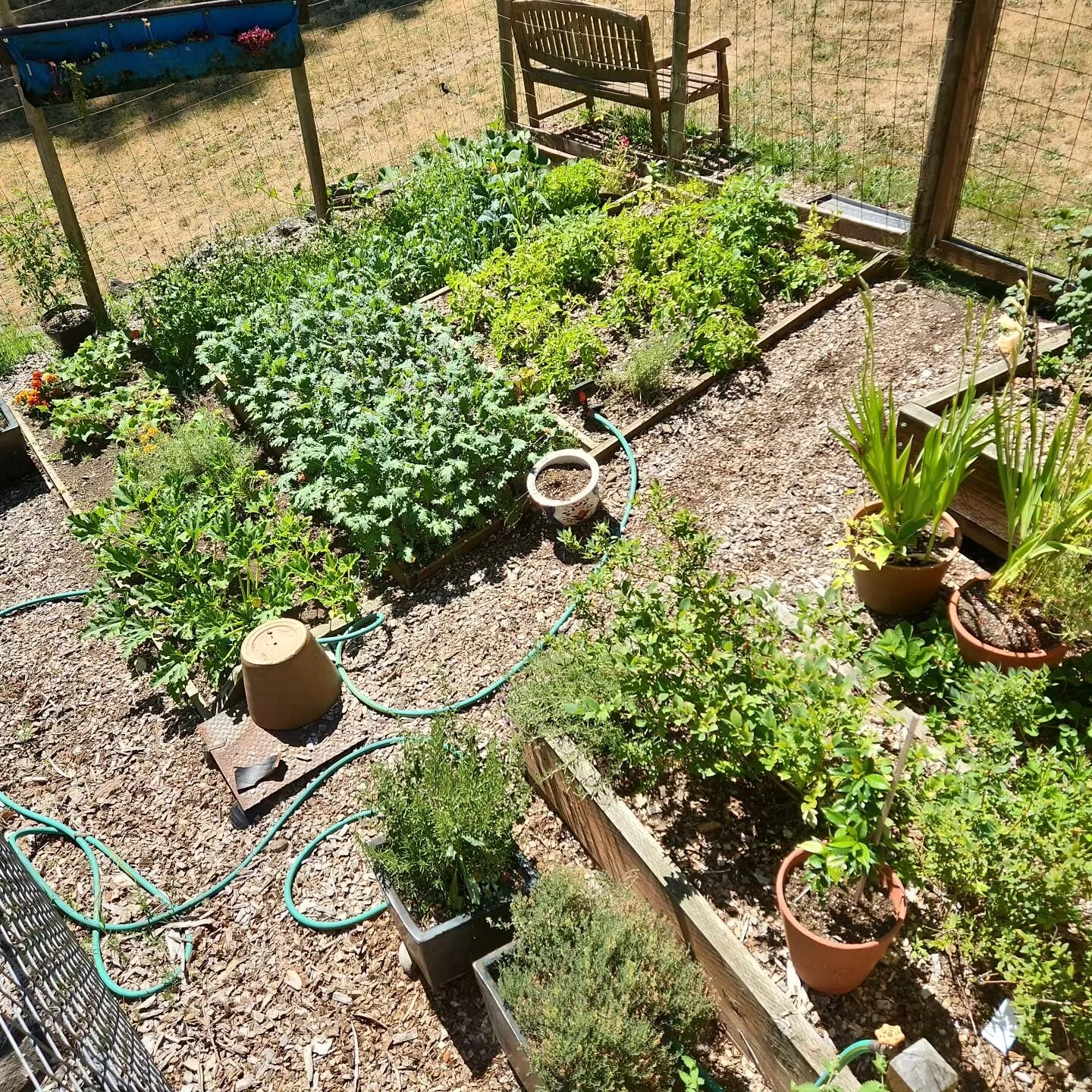 It's kale season!!