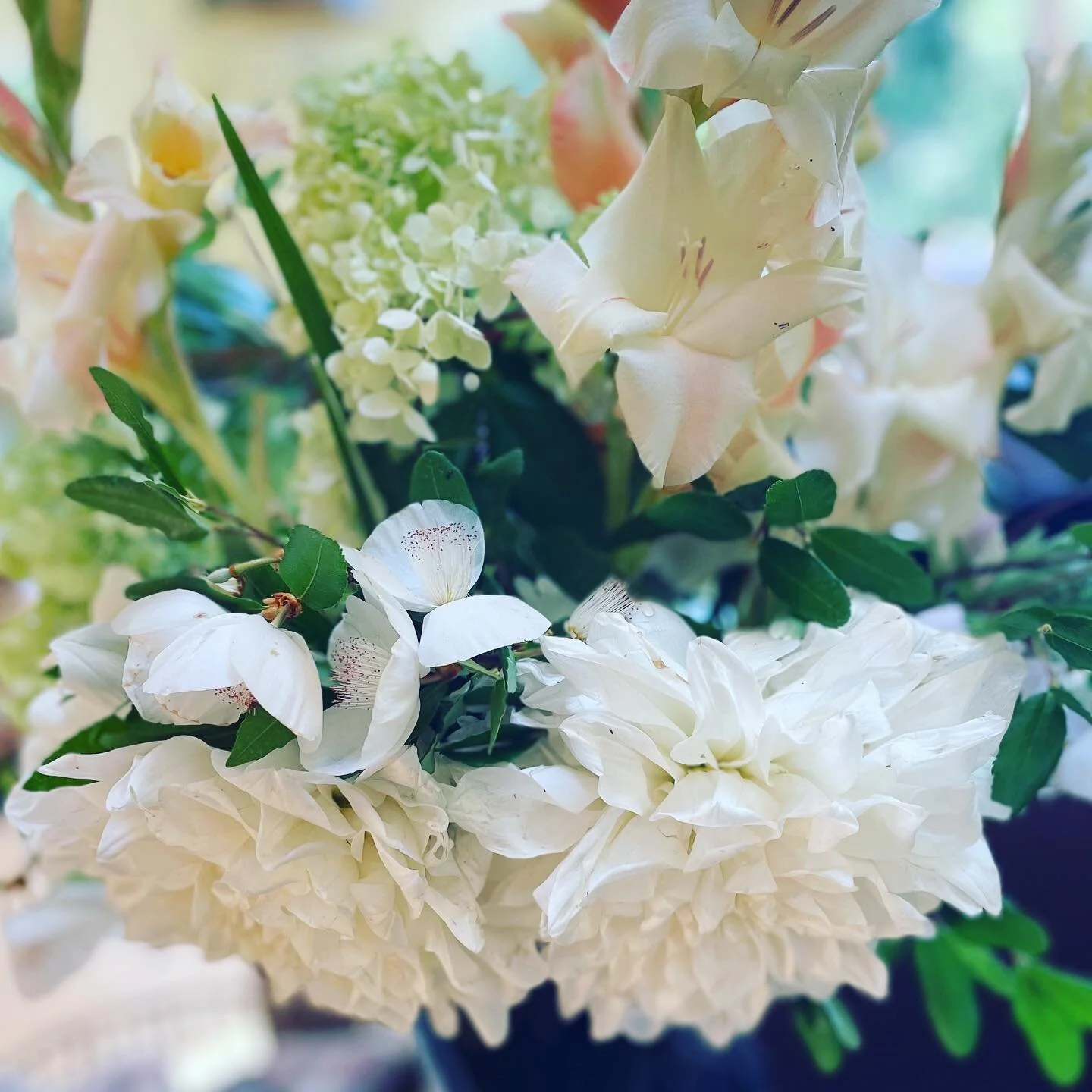 Flowers from my daughters garden.