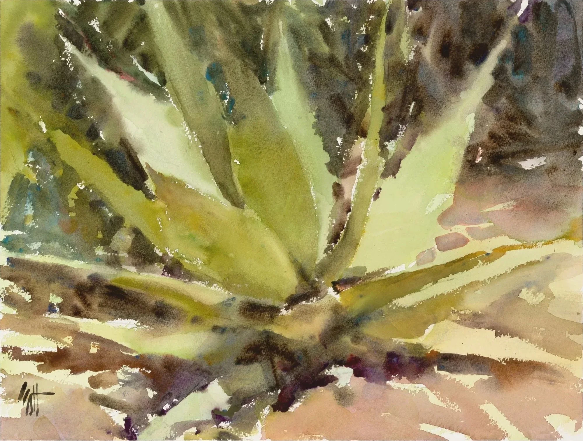 Huntington Succulent