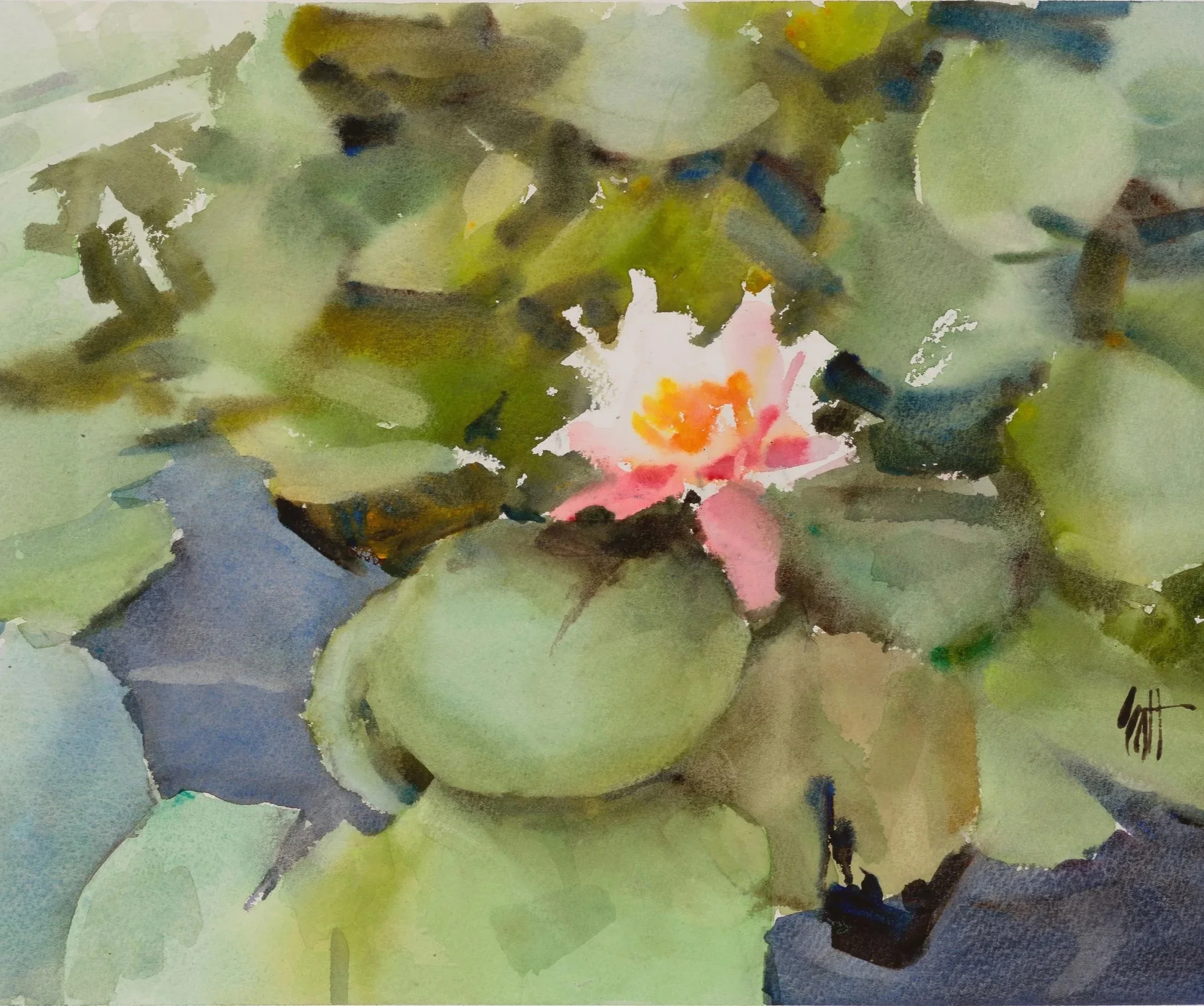 water+lilies+2025.jpg