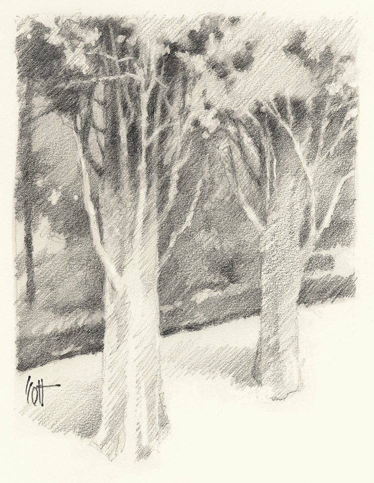Alhambra Trees