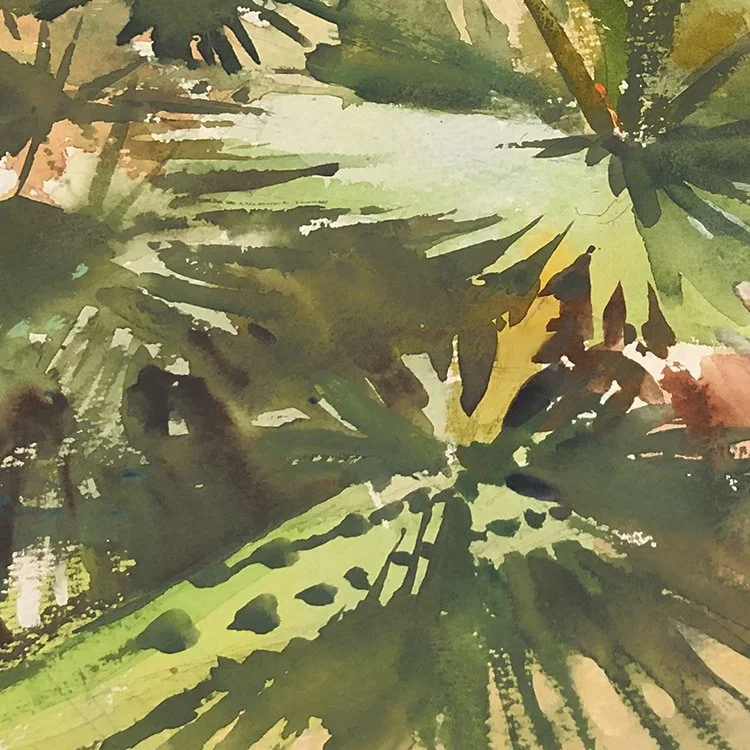 Palms