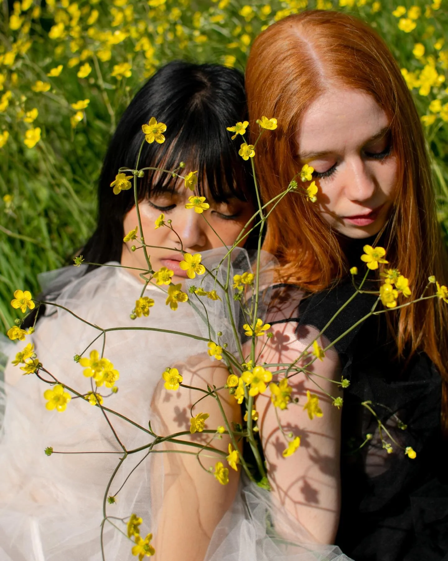 &ldquo;&lsquo;Isn&rsquo;t life,&rsquo; she stammered, &lsquo;isn&rsquo;t life&ndash;&rsquo; But what life was she couldn&rsquo;t explain.&rdquo;

A story, a garden. Life circles death, vultures to koi. Two souls in orbit. A world alone &ndash; suspen