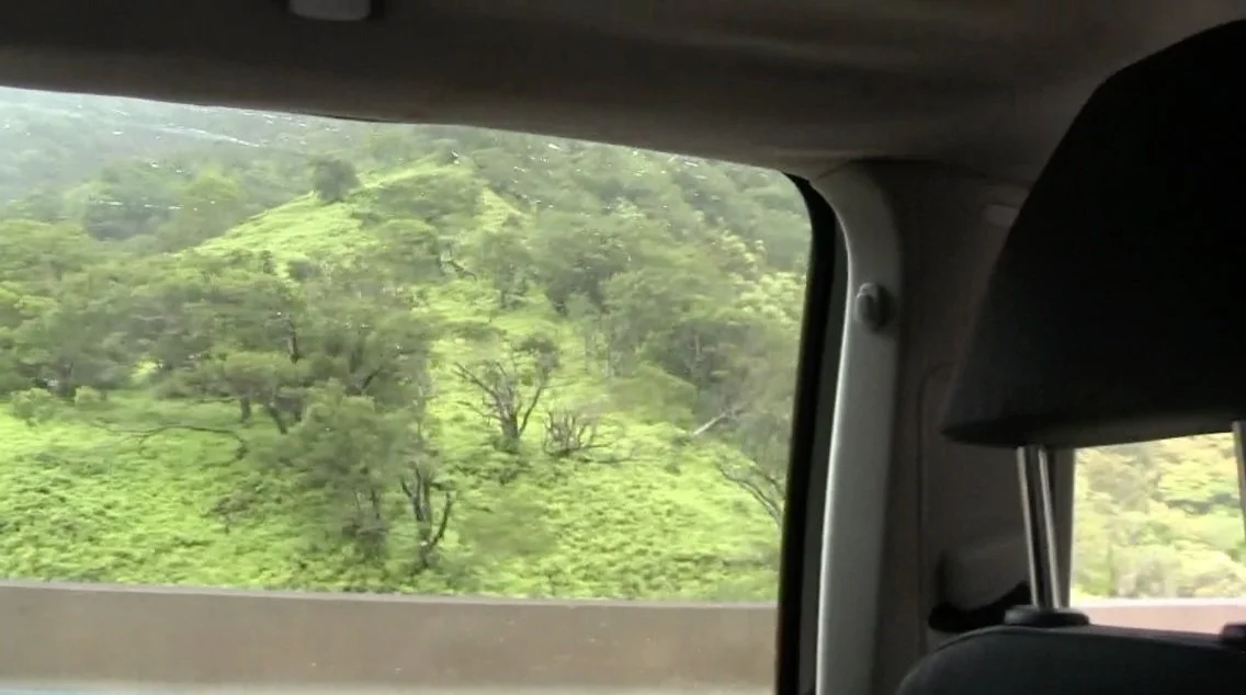 View of lush green hilly landscape with trees through a car window on a cloudy day.