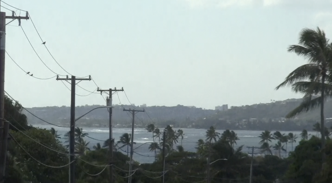 Tropical scene with palm trees, power lines, and a body of water in the distance under a cloudy sky.