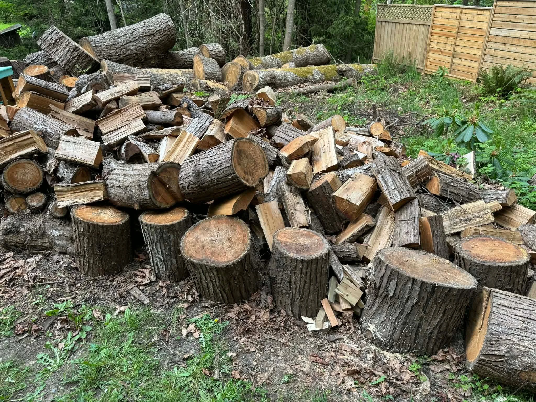 att.ngO24Wez2oxrJPZY9foBeY_bbQNy-lqJzqdqFiPuqac.JPG