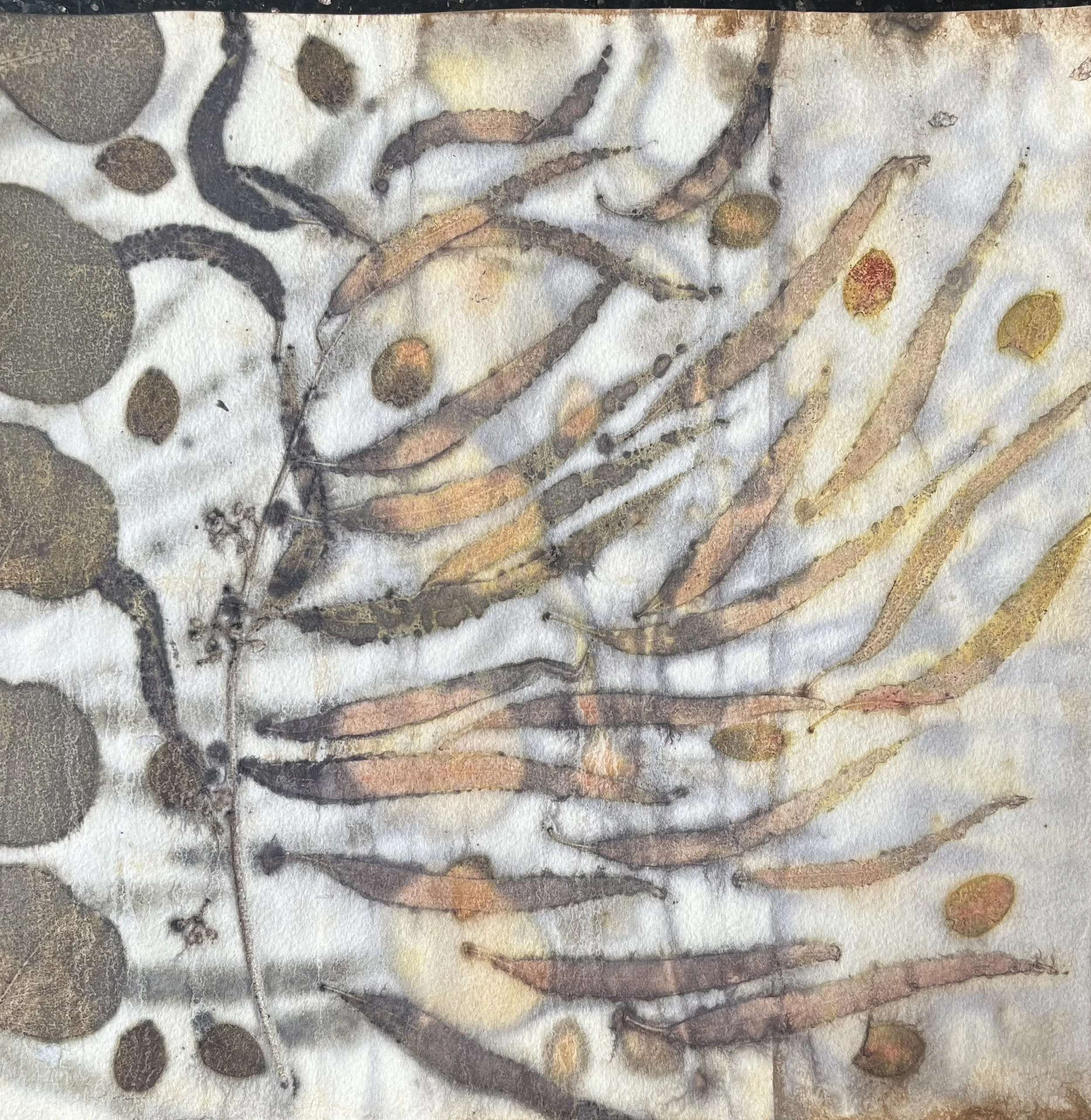 IMG_9554 no white.jpg