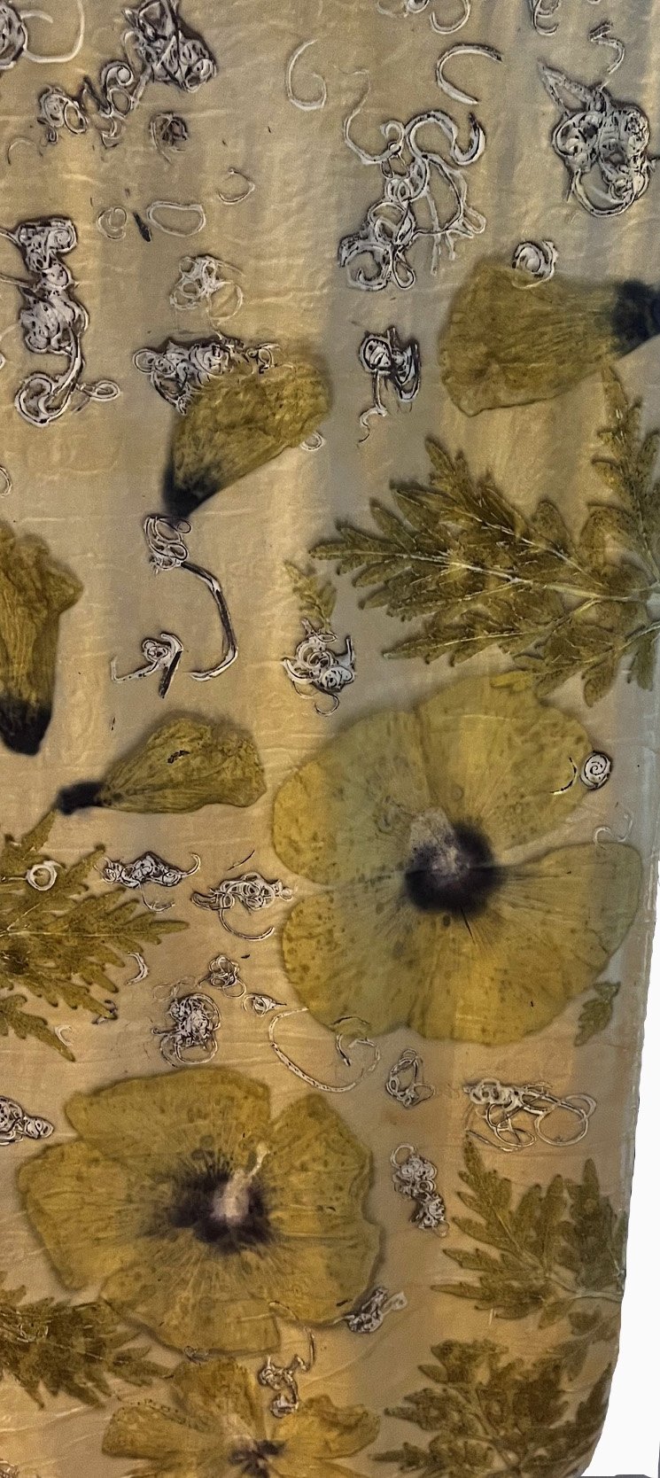 IMG_8912 crop white.jpg