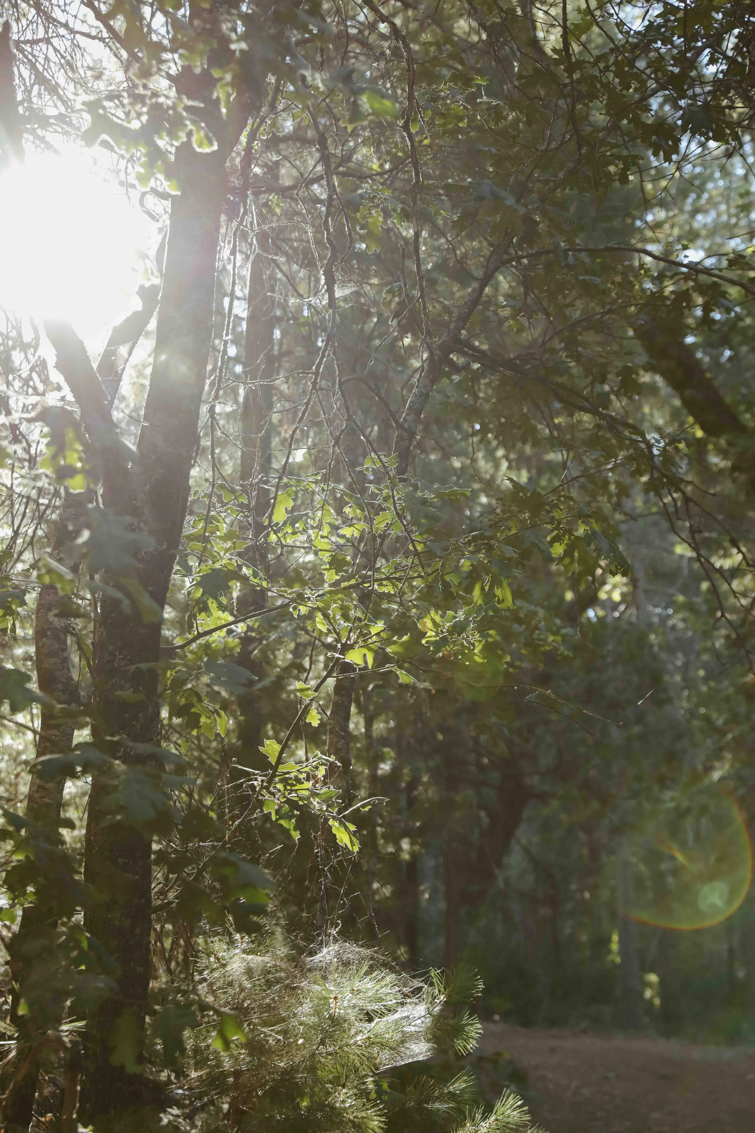 I&R wedding-0991.jpg