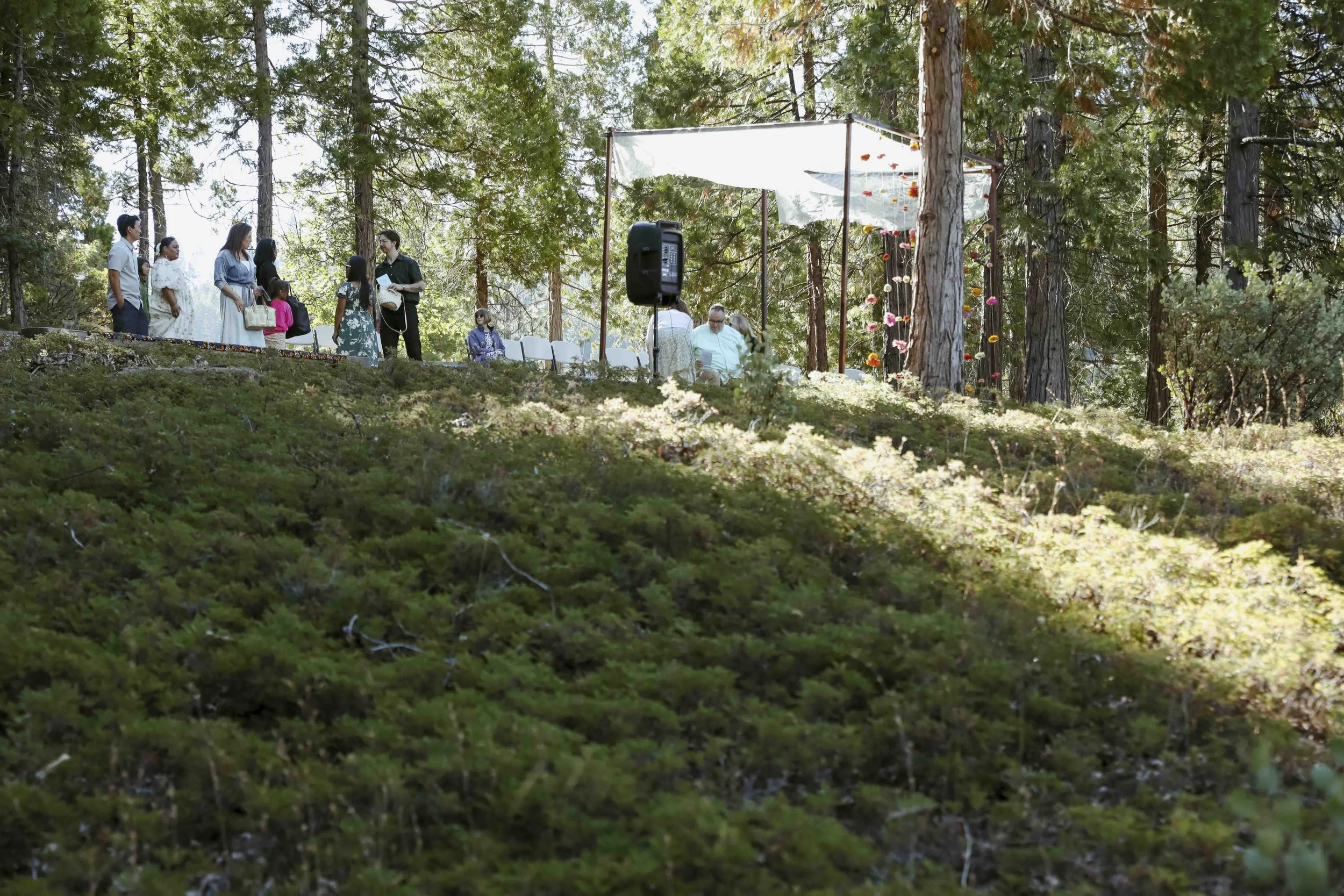 I&R wedding-1003.jpg