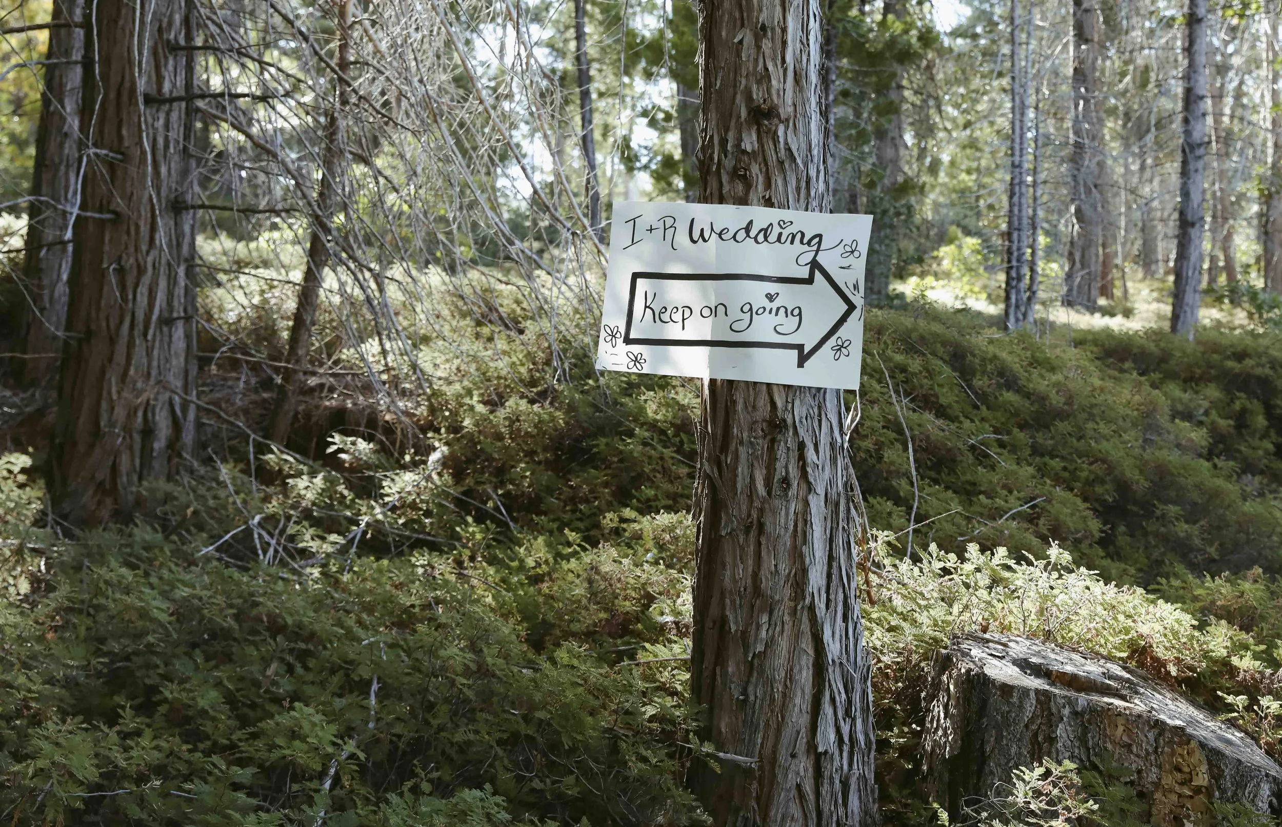 I&R wedding-0993.jpg