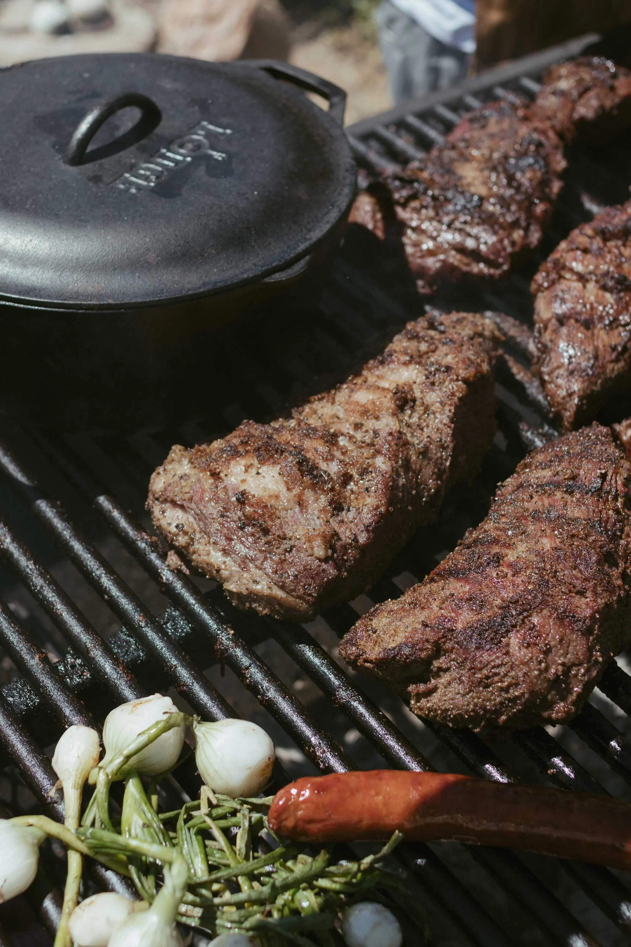 Mijos Oak 2024-6794.jpg