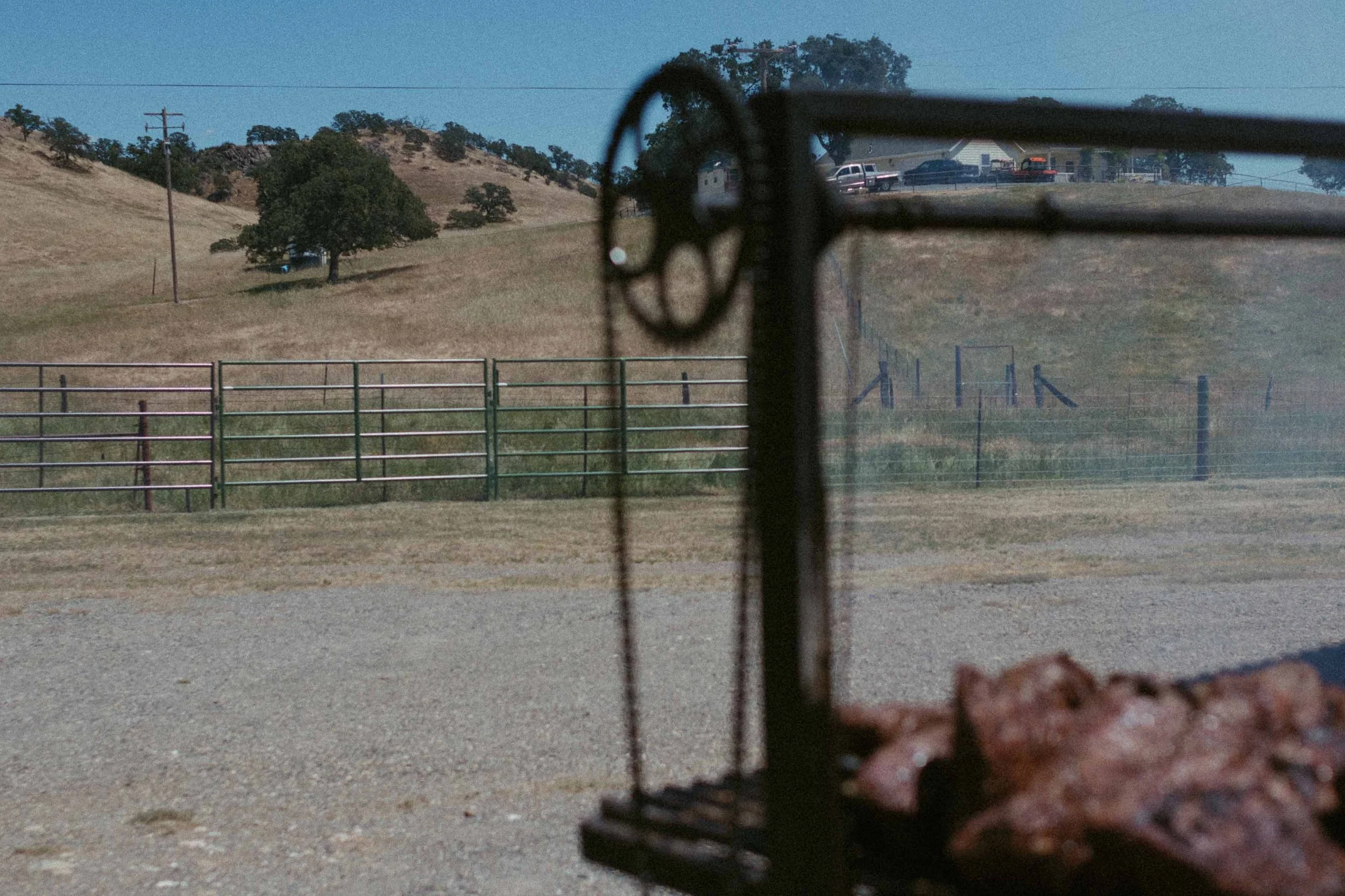 Mijos Oak Branding-6660.jpg