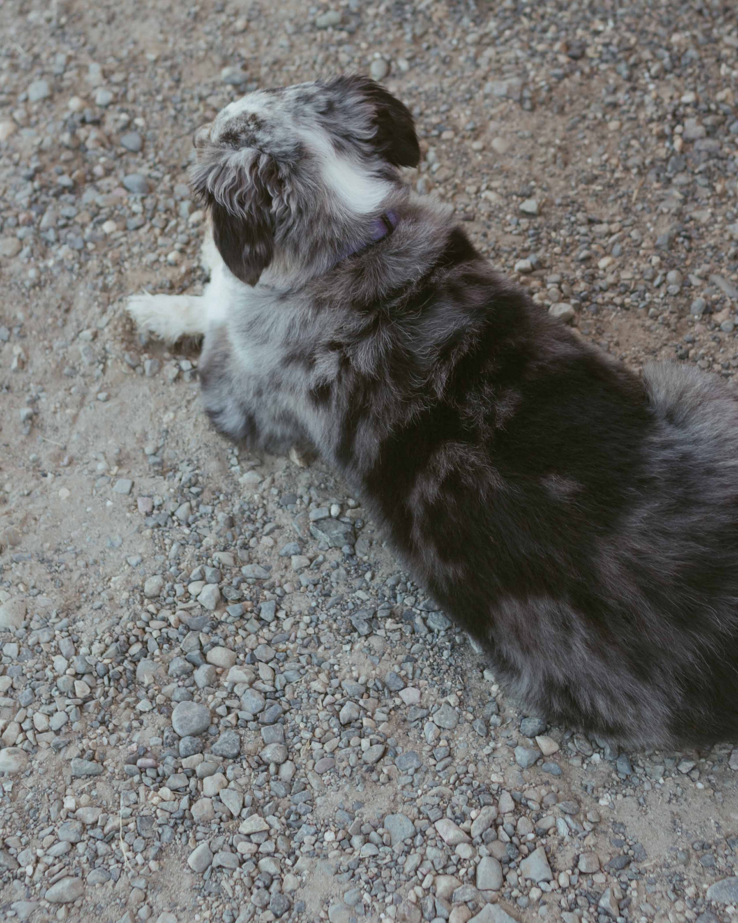 Mijos Oak Branding-6666.jpg