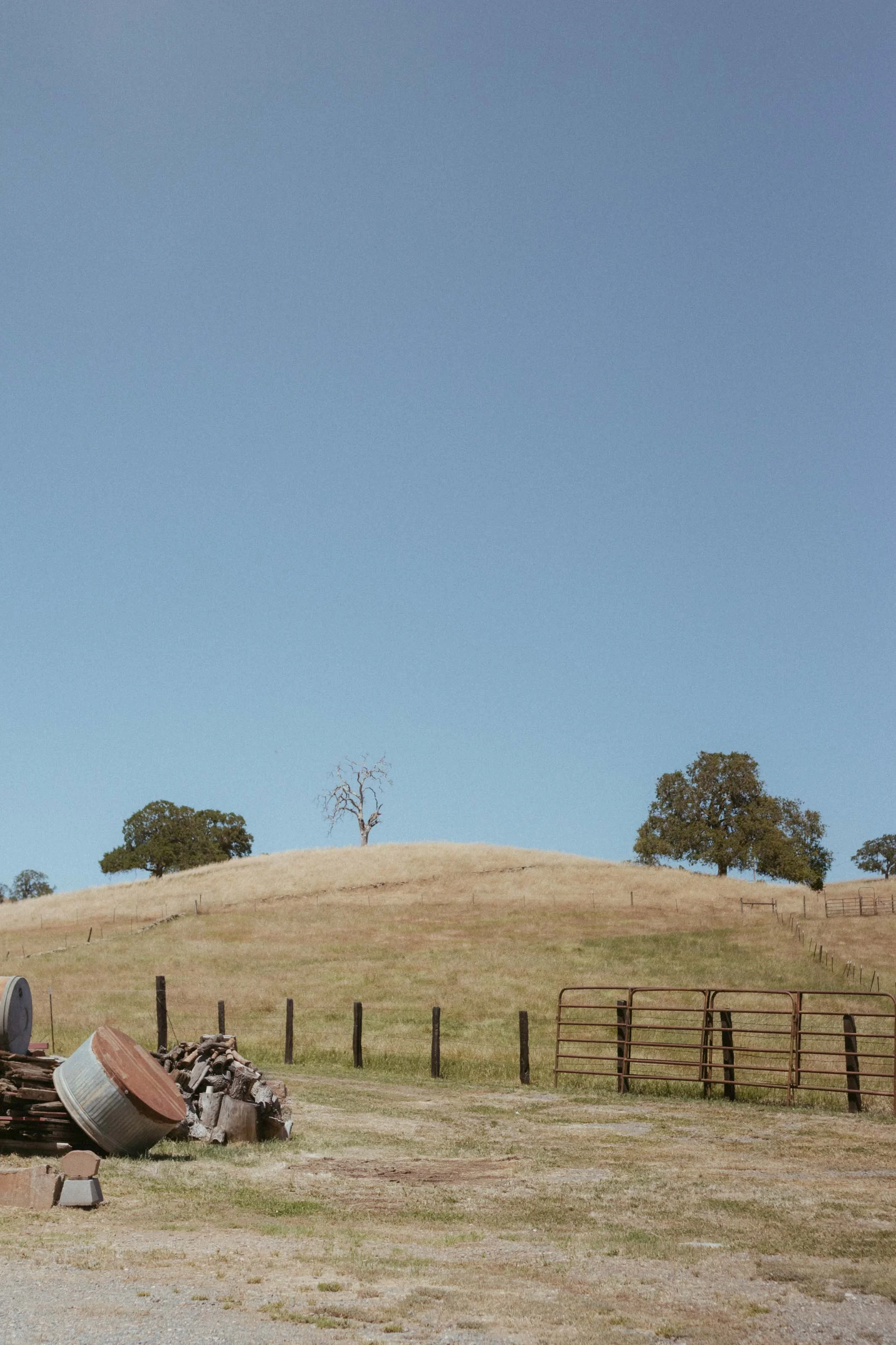 Mijos Oak Branding-6702.jpg