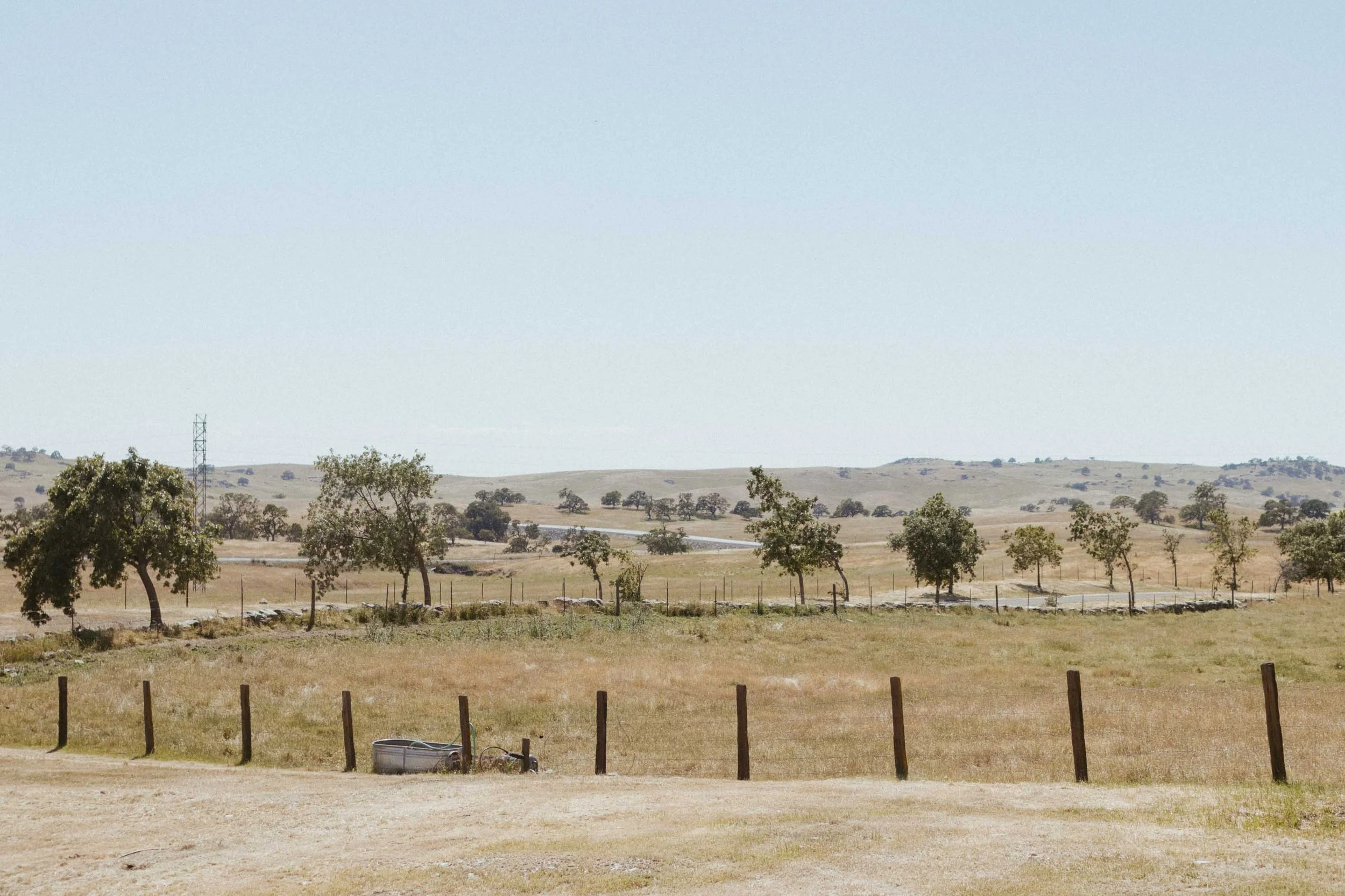 Mijos Oak Branding-7111.jpg