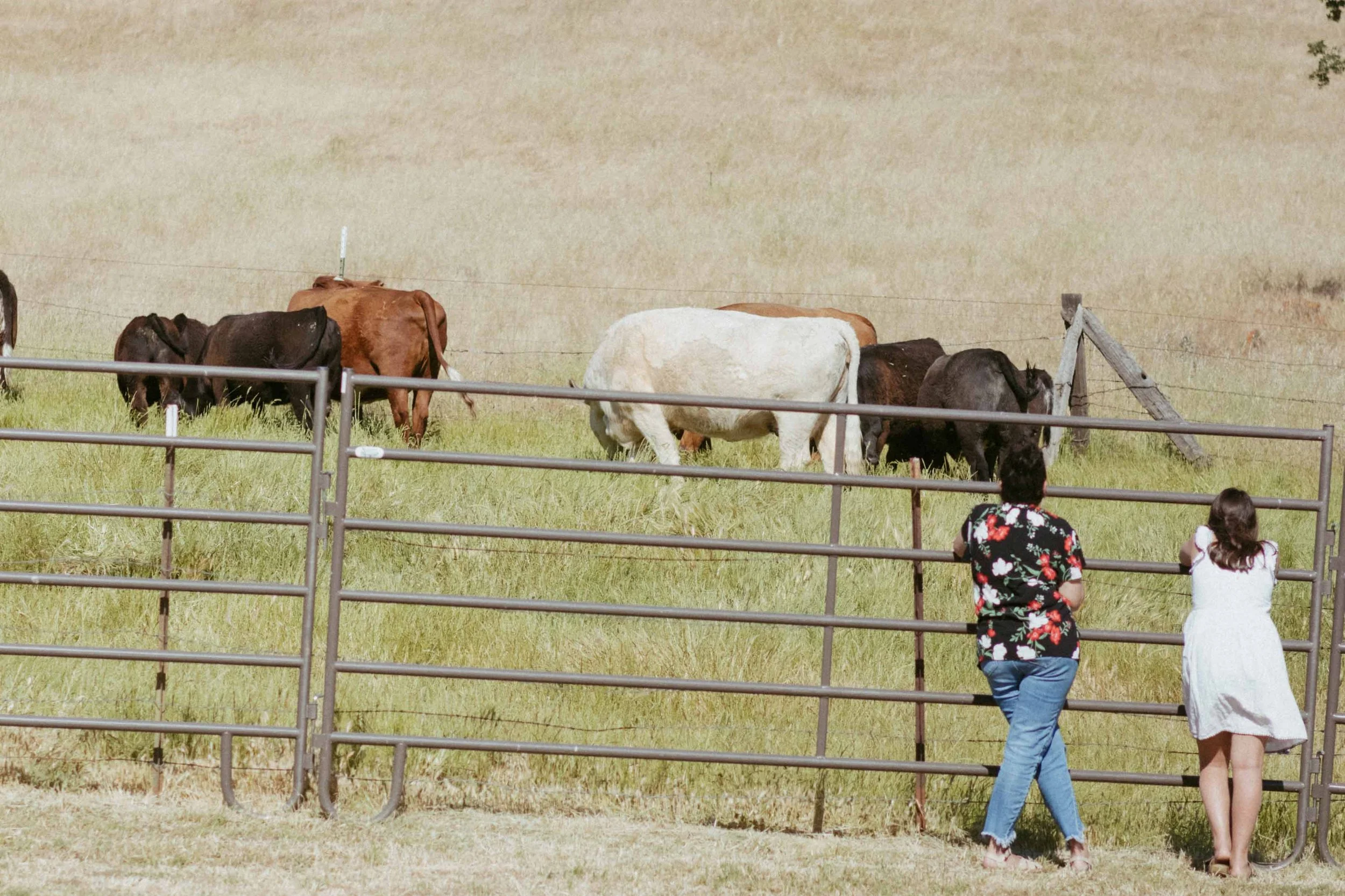 Mijos Oak Branding-7146.jpg