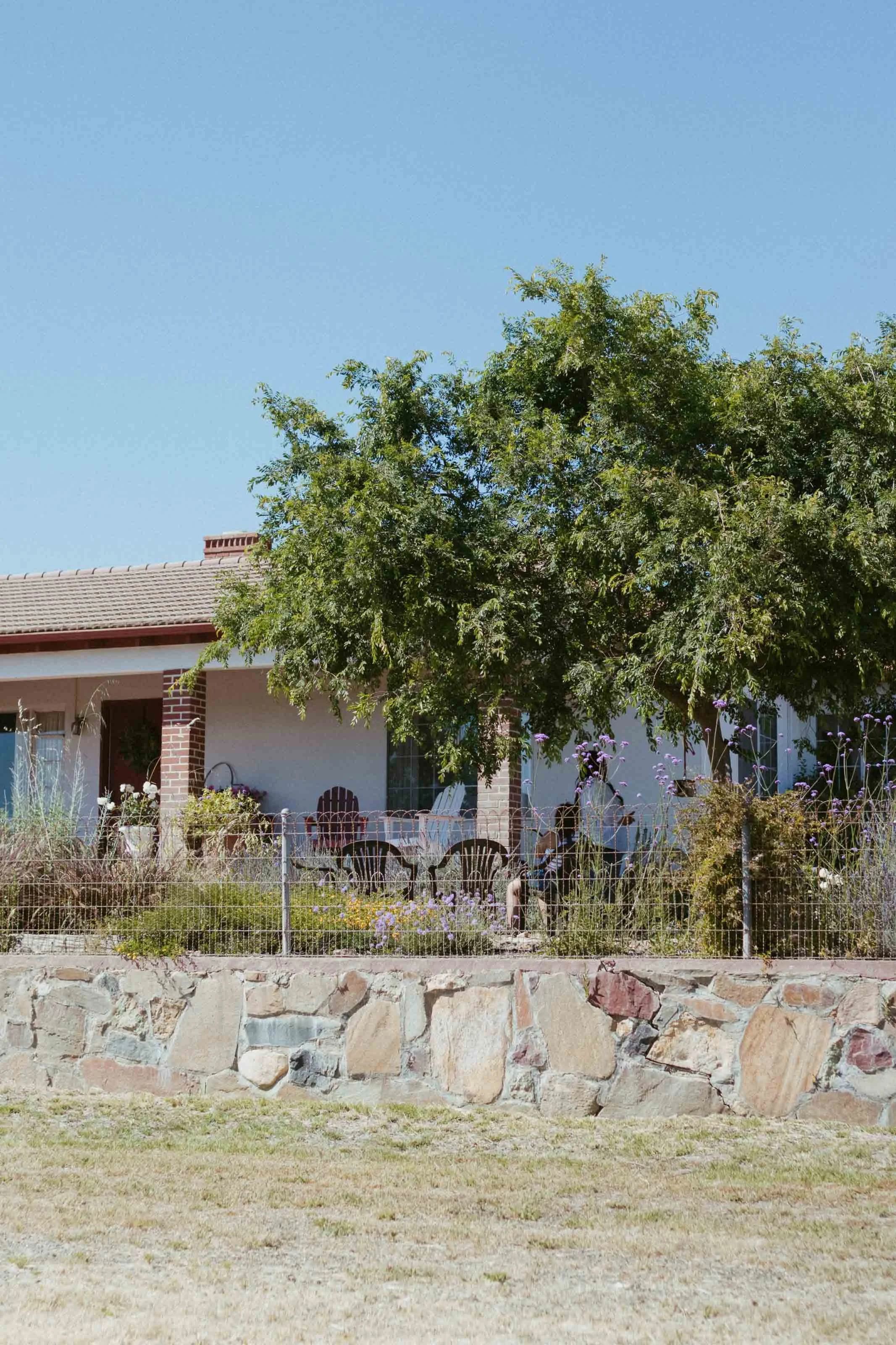 Mijos Oak Branding-7125.jpg