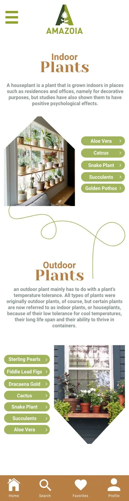 iPhone 12 Pro Max – 39.jpg