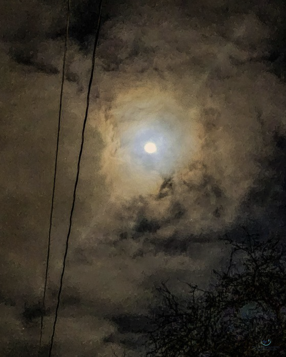 "Make The Lines Sing" Louis Staeble Photography 10" x 8" 
2026 $200 