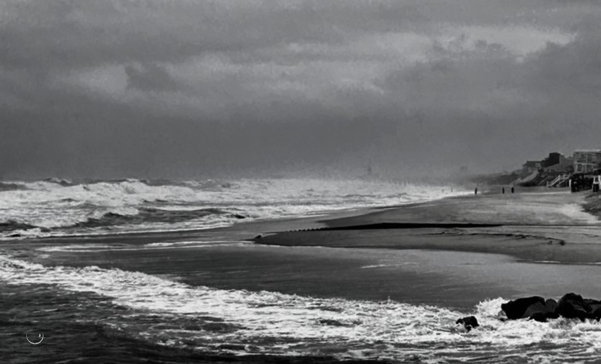 "Storm Coming" Anne McMahon Photography 11" x 14" 2026 
$175 