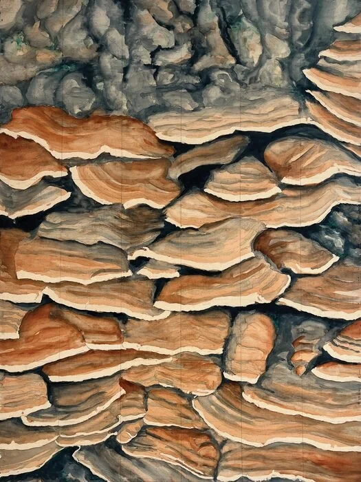 "Turkey Tail Orange" Liza Boffi 
Watercolor on Panel 
24" x 18" 
2026 
$1,200 