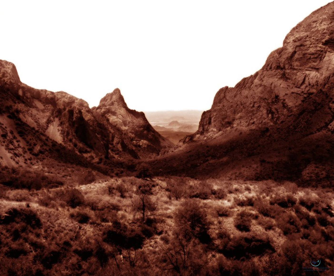 "A Breath In Time II" Alberto Mena Inkjet Print on 100 Percent Cotton Rag 24" x 20" 2009 $500 