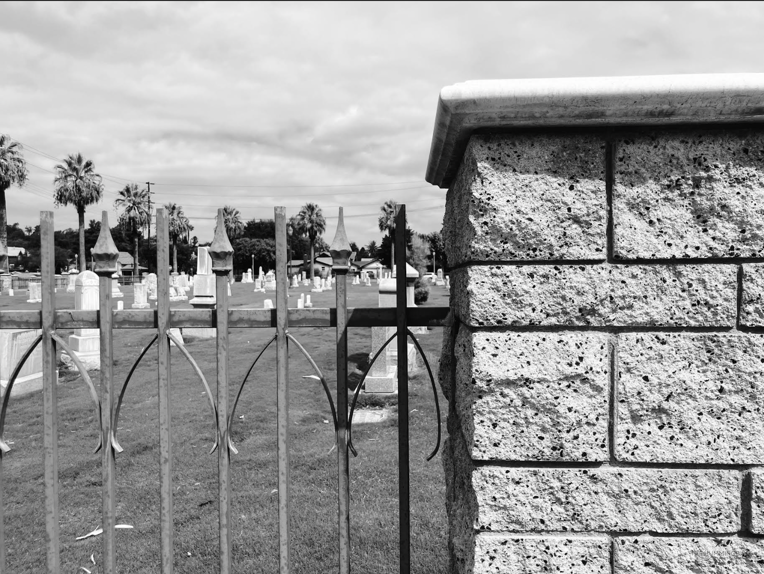 "Beyond the Gates" Tara Spencer 
Photography 
16" x 20" 
2025 
$400 