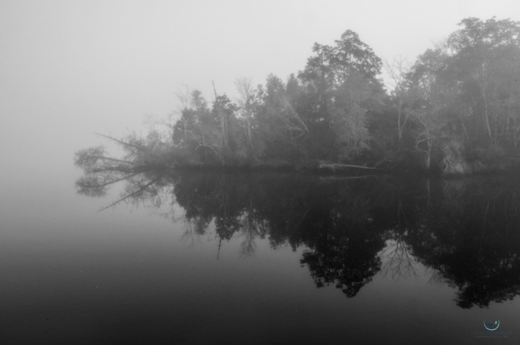 "Blackwater Reflections" Jenn Hendrix Photography 16" x 20" 
2026 $350 