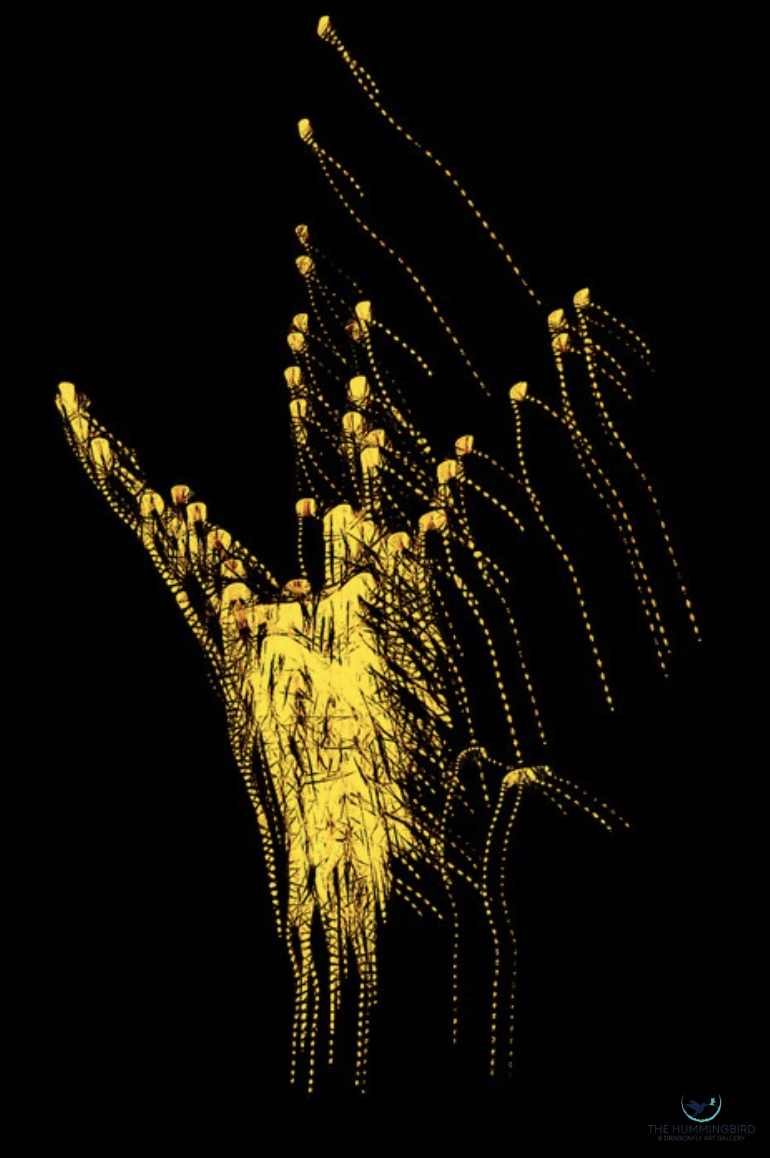 "Release of the Golden Sprites" Gerrit van Ommering Photography, Digital Transformations, Archival Metal Print 30" x 20" 
2025 $300 