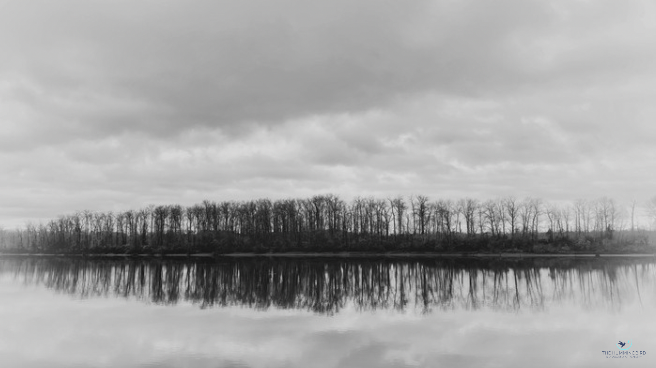 "Sky, Trees, and Water" C. K. Zhang 
Photography 18" x 33" 
2024 
$1,000 