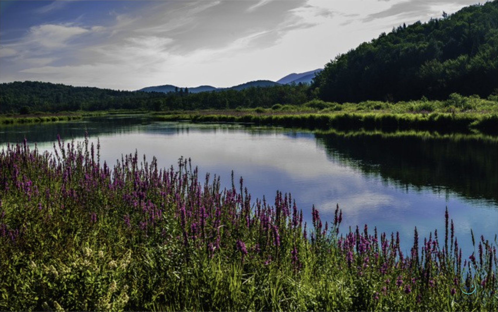 "Adirondacks-2" Al Kelman Photography 11" x 17" 
2023 $400 