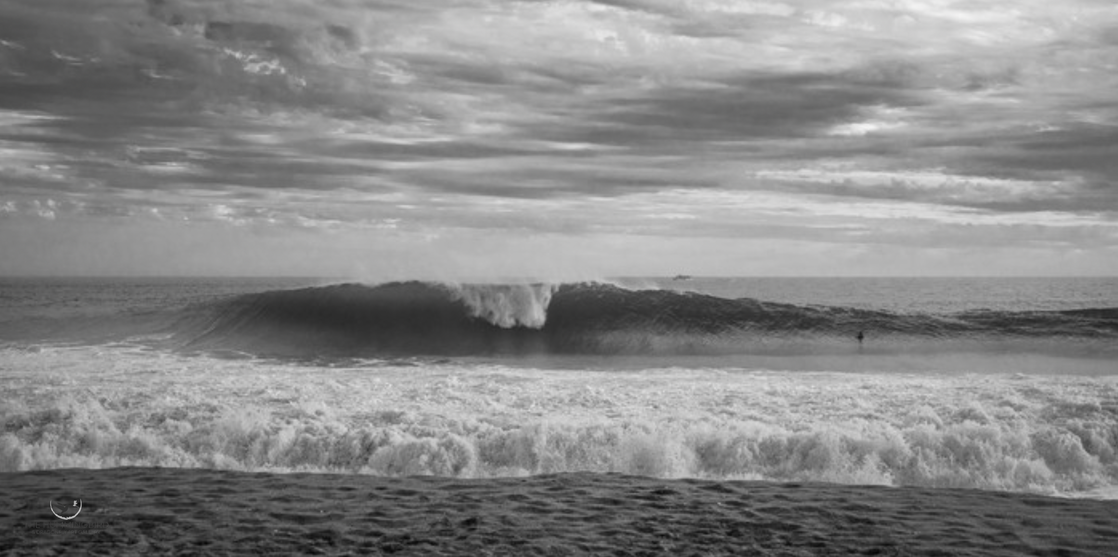 "Sea Serpent's Hooded Crest" Archana Jain Photography 15" x 30" 2026 
$450 