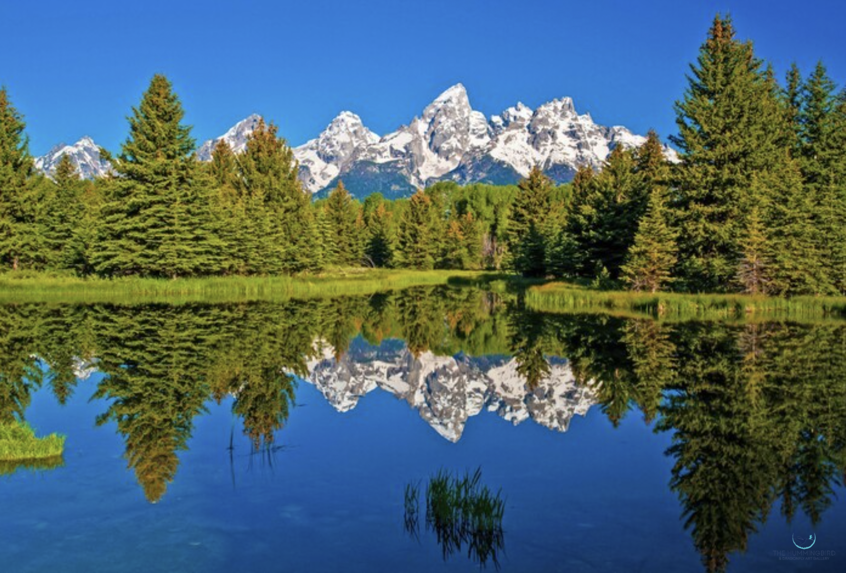 "Reflection Perfection" Ron Gordon Photography 20" x 30" 
2009 $325 