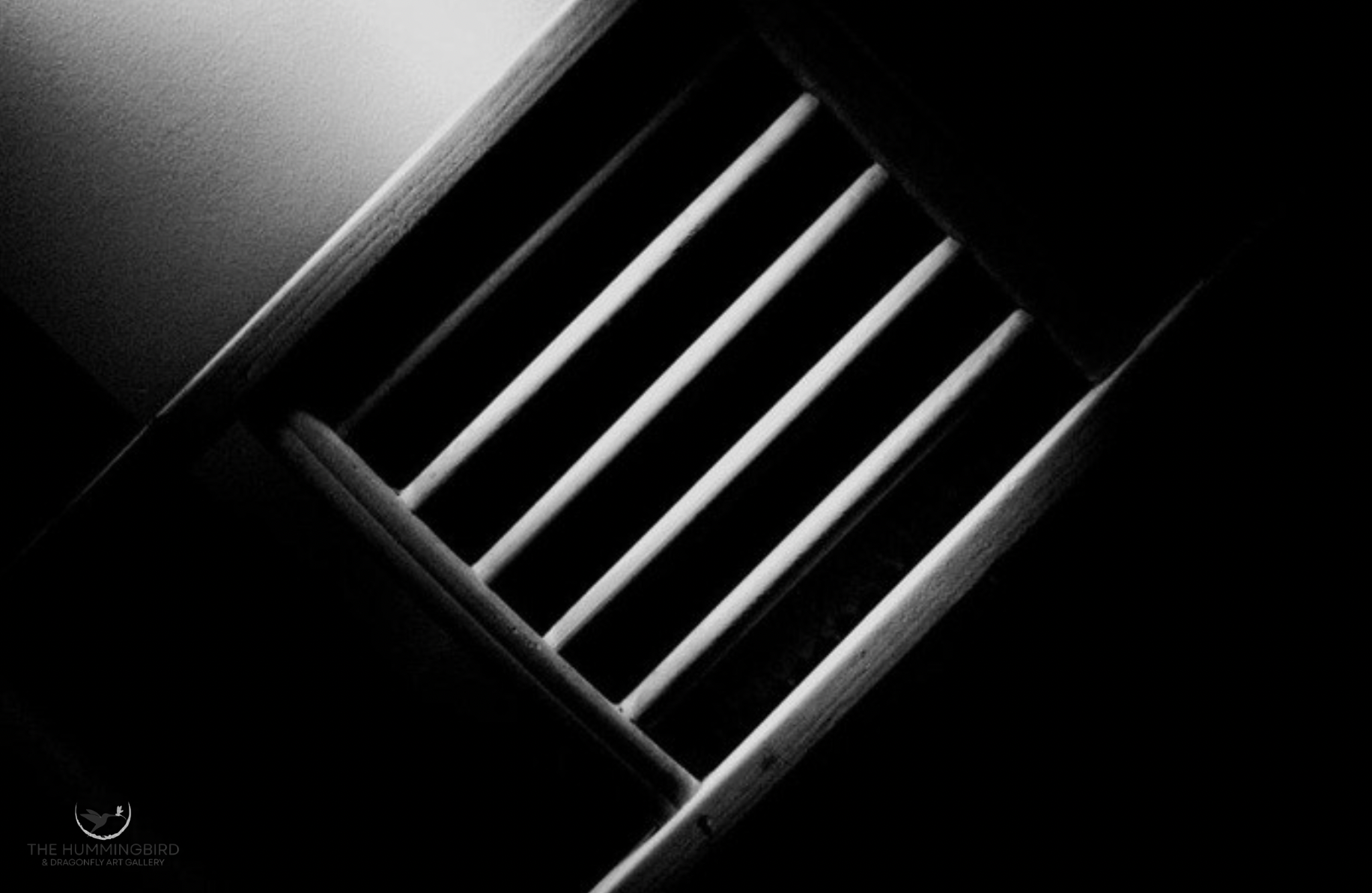 "Mr. Jack's Washboard" 
King Oliphant 
Photography 
8.5" x 11" 2025 
$650 