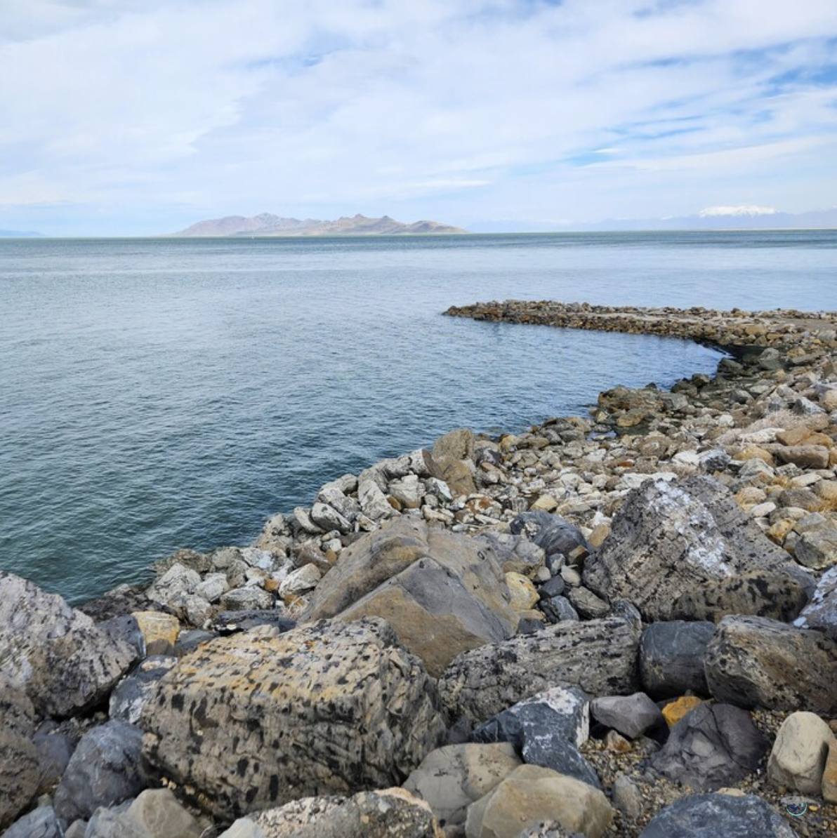"Great Salt Lake" 
Shereen Lobdell Photography 14" x 14" 2025 $200 