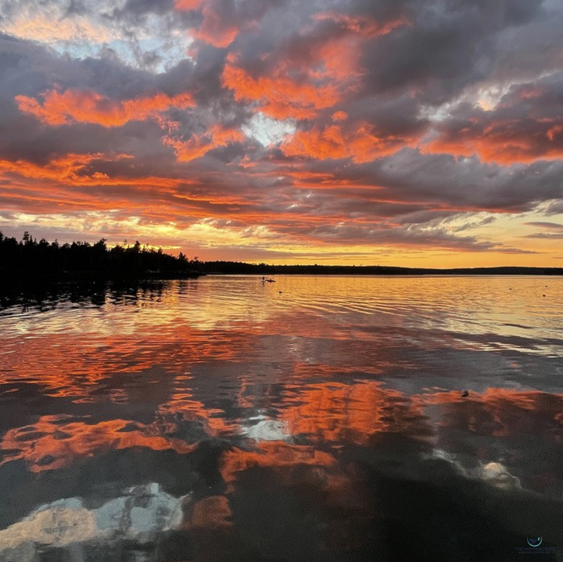 "Muscongus Bay" Alexander Brebner Photography 11" x 11" 
2022 $250 