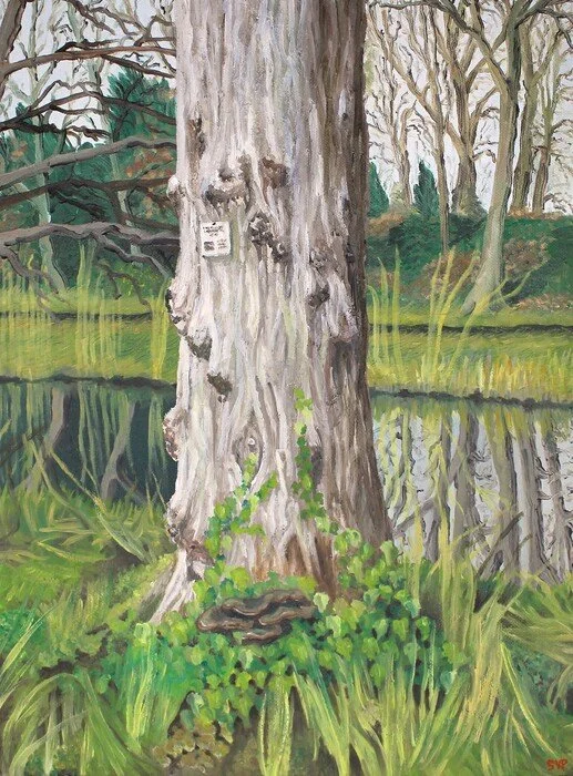 "At Peace and the End" Sarah Porter Oil Paint 40 cm x 30 cm 
2026 $300 