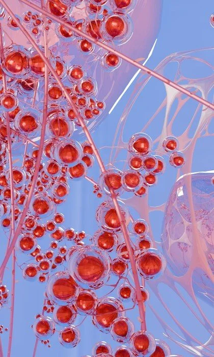 "Pomegranate Reverie" 
Yaxin Sun 3D Digital Artwork 20" x 12" 
2025 
NFS 
