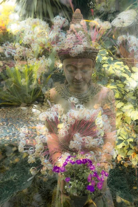 "Asian Art Montage 11" Rio Montero Photography 
18" x 12" 
2025 $350 